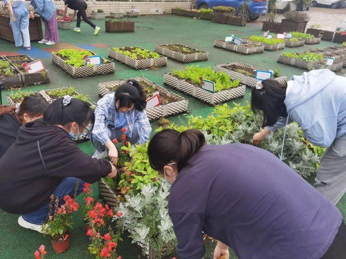园艺专业学生党支部赴农林大附小开展生物园养护系列活动 深化农业园艺服务共建