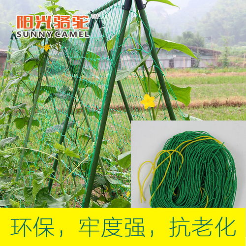 葡萄爬藤网与园艺支架 农业园艺服务的专业选择