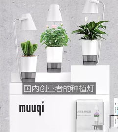 日本花卉展暨园艺和农业新零售高端论坛开幕在即 农业园艺服务的新机遇