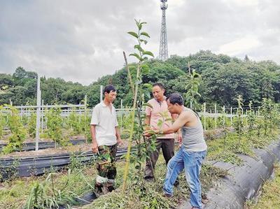 青年教师不能做服务“三农”的局外人——农业园艺服务的使命与行动