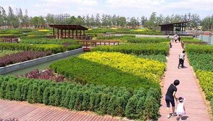 商标45个类别详解 农业园艺服务所属类别及重要性