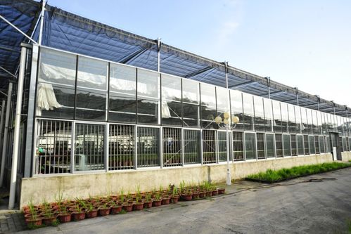 我省优异农业种质资源闪亮世界园艺博览会，展现农业园艺服务新高度