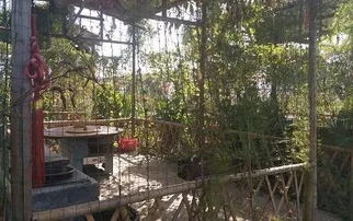 沔庄野炊农俗体验活动 在田园中寻找生活真趣