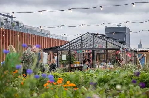 智能温室材料成本解析 高性价比建设方案与农业园艺服务优化