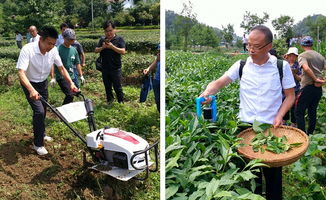 西北农林科技大学园艺学院 引领农业园艺服务创新，助力乡村振兴与现代农业发展