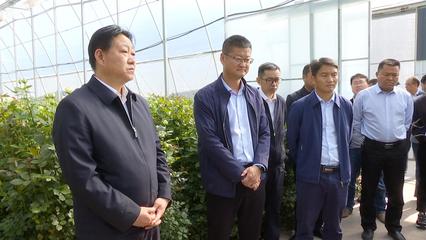 考察学习交流 优势互补促发展，共绘农业园艺服务新篇章