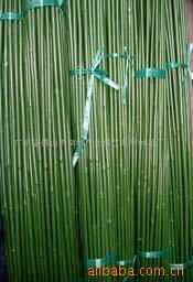 探索园艺与农业工具产品与服务 从基础工具到专业解决方案