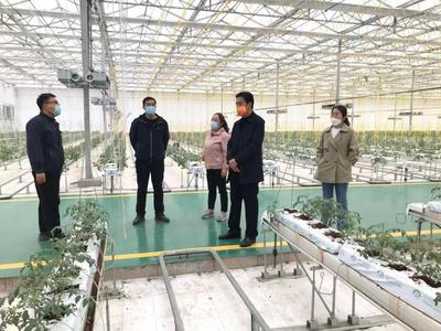 科技兴农促发展，服务先行助振兴——记山西农业大学专家团队赴太谷区开展技术指导