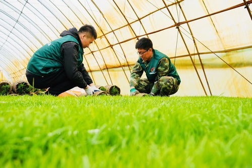 青春助农春耕忙 北大荒集团梧桐河农场青年服务团一线护航农业生产